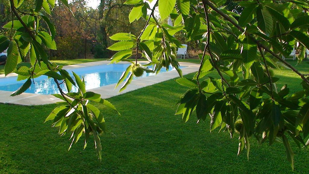 Hotel Apartamento Rural Finca La Media Legua Aracena Exterior foto